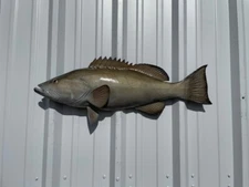 32" Gag Grouper Half Mount Fish Replica - In Stock & Ready to Ship