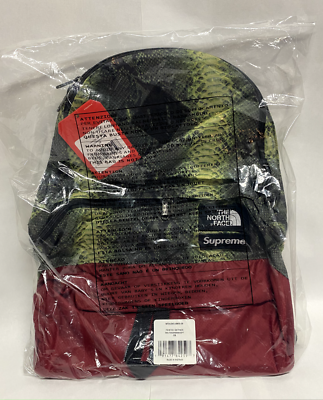Supreme x North Face Snakeskin Lightweight Day Pack Green