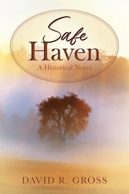 Safe Haven A Historical Novel David R. Gross Taschenbuch Kartoniert / Broschiert