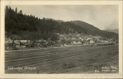 RPPC Oakridge,OR Bird's Eye View Residential Community 1930 Westfir 1c stamp