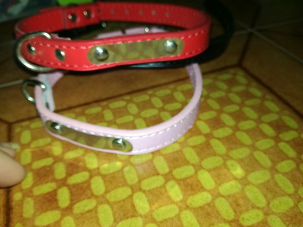Collar 28- 35 cm