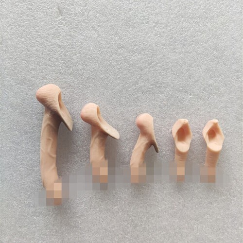 5pcs Men's Genitals Penis Model 1/6 Scale Props Fit 12" Action Figure Male Body - Picture 12 of 12