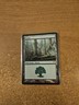 MAGIC THE GATHERING CHAMPIONS OF KAMIGAWA FOREST (303) LIGHTLY PLAYED