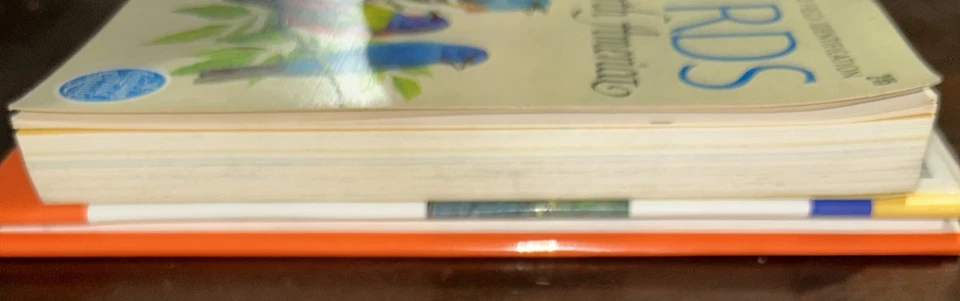 Vintage Birds of North America Guide To Field Indentification 1966 & Shorebirds  - Image 4 of 4