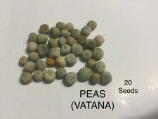 Seeds Organic All type, Please See Description