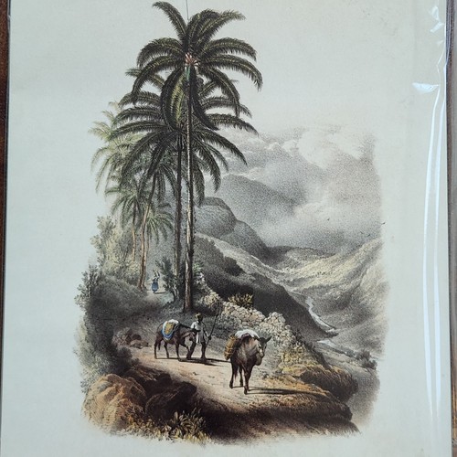 Jamaican Mountain Scenes Art Prints 8"x10" JB Kidd Coconut Cabbage Tree Village - Picture 15 of 24