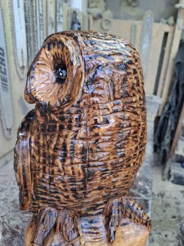 Chainsaw Carved Barred Owl Wood Carving Owls Sculpture Statue Rustic Handmade... - Picture 17 of 24