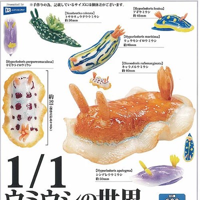 1/1 Scale Sea Slug World 6 types Comp Set / Capsule toy Gachapon