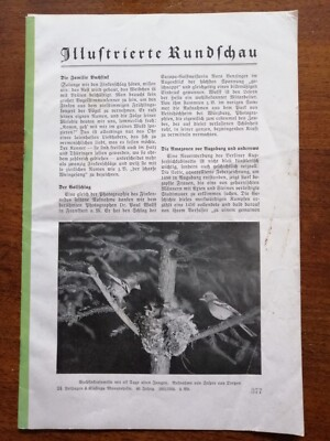 #ad Illustrierte Rundschau Monatshefte Velhagen Klasing 1931 1932 2.Bd 24 Oertzen EUR 9.90