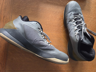 Size 13 - Air Jordan CP3.VIII Gray for sale online | eBay display picture 1