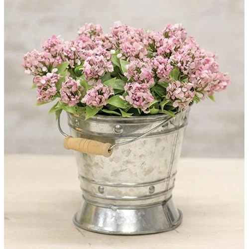 Galvanized Tin Mini Pail with Handle - Picture 1 of 2