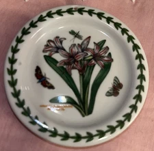 Portmeirion Botanic Garden Amaryllis Belladona Ornament Butterflies Dragonfly