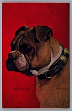 J.G. Low Artist Signed Boxer Dog Postcard I6