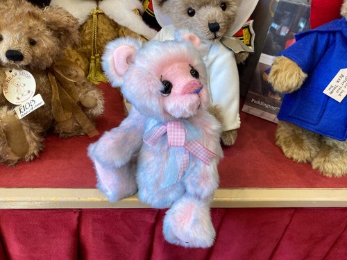 Kaycee Bears Gobstopper Limited Edition of 30 numbered 9 - BEAR SHOP - Picture 2 of 18