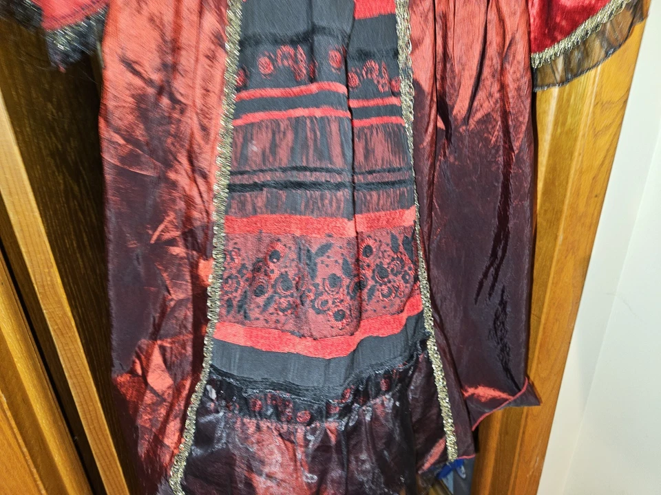 Niñas Hocus Pocus Winnie Gótico Renacimiento Vestido Disfraz Talla Juvenil L (10/12) Foto 3 de 4