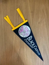 Vintage Black Canyon, Colorado State Pennant