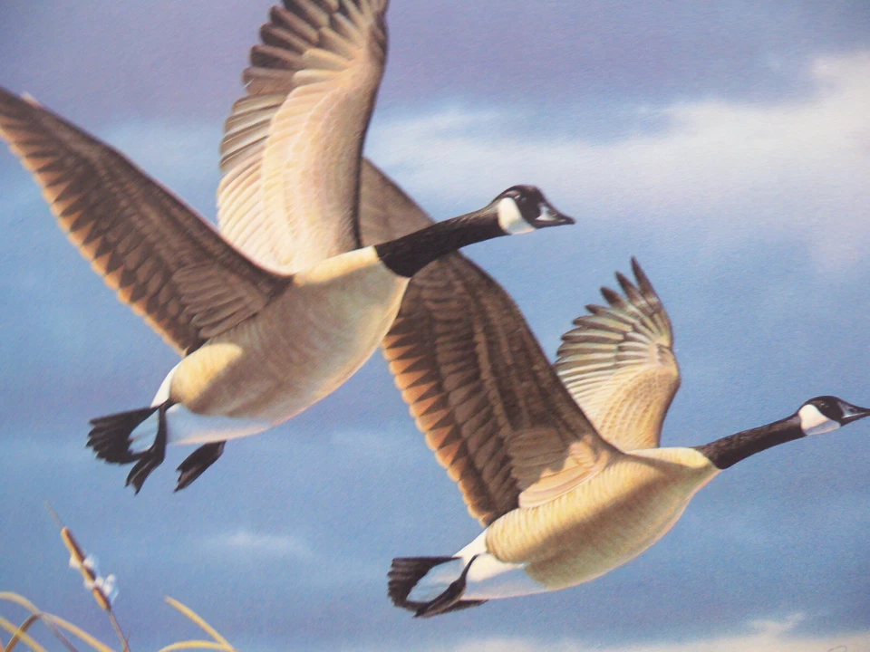 1987 First State West Virginia Waterfowl Signed Stamp Print by Daniel Smith  - Image 2 of 4