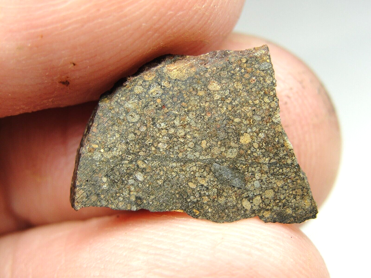NWA 15936 Official R3 Rumuruti Chondrite - G740-0006 - 1.09g - COA