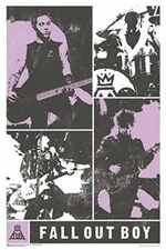 Fall Out Boy Panel Laminated Poster - 24.5" x 36.5"