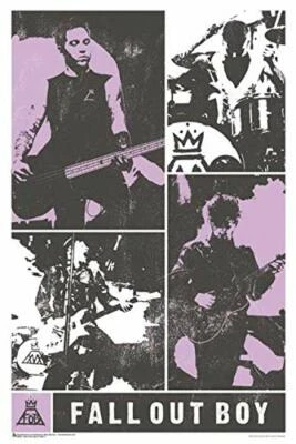SCORPIO POSTERS Fall Out Boy Panel Laminated Poster - 24.5" x 36.5"