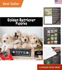 Golden Retriever Puppies 2026 Wall Calendar 12  12" x 24" Open  Thick  St...