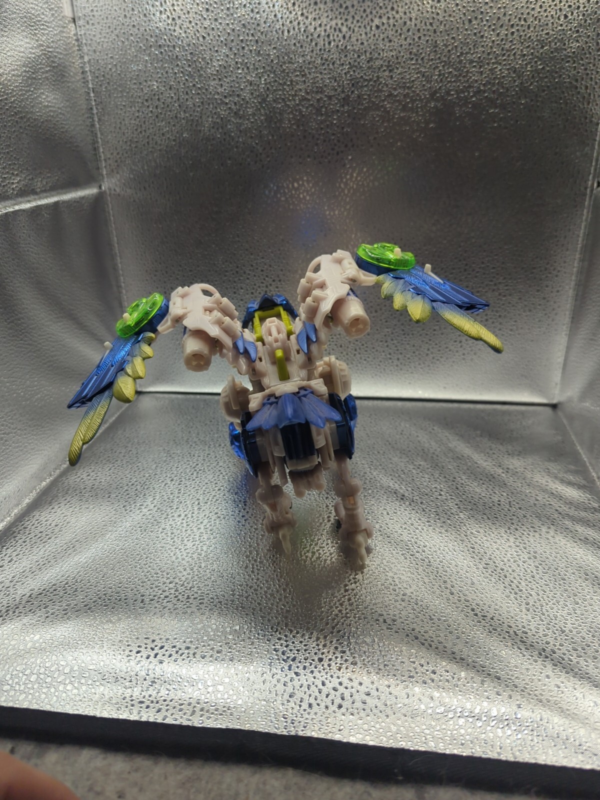 Picture 4 of 5