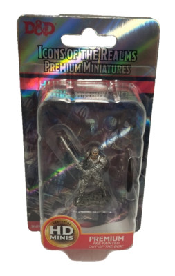 Human Male Fighter - Icons of the Realms Premium Figuren W3 D&D Mini  Neu #