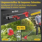 Bild 7 von 12