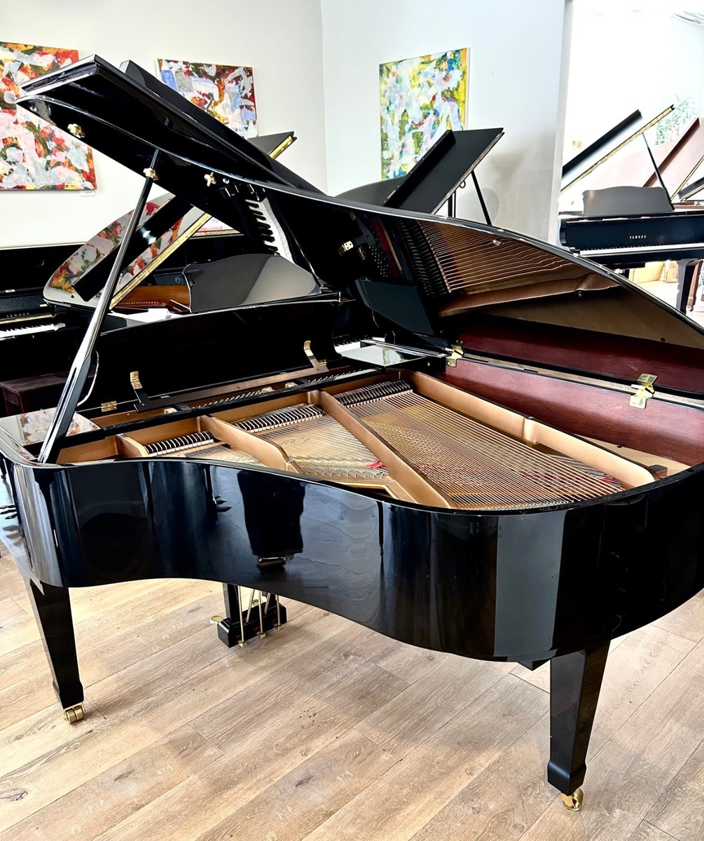 Essex EGP 173 Grand Piano 5'8