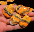 3 pcs Natural Bumble Bee Gemstone Wholesale Mix Shape Cabochons 65.00 Carat Lot