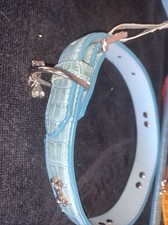 collare in pelle per cane Celeste Con Swarovski