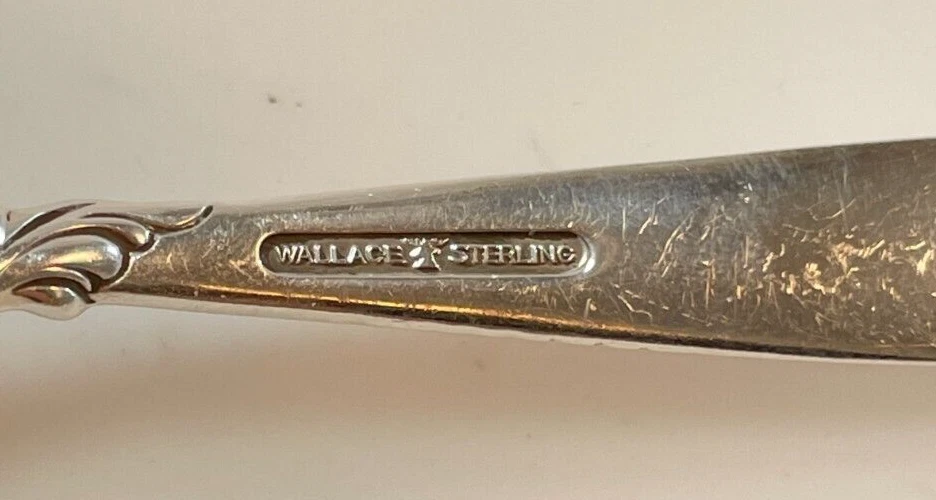 Wallace Romance of the Sea Sterling Silver Cracker Spoon - 8" - No Monogram Foto 3 de 3