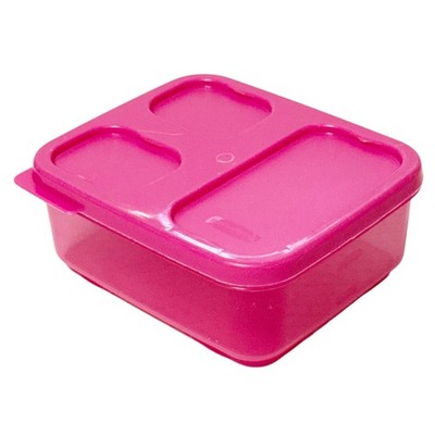 Rubbermaid LunchBlox Sandwich Container 2.6c Easy Store Lid Snaps on Bottom Pink