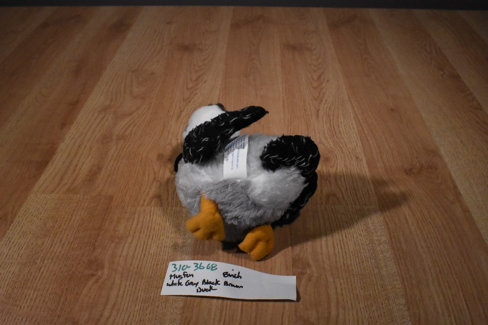 Picture 5 of 5