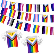 Progress Rainbow Pride Flags 60 Bunting 2 Pack Polyester 66 Feet Outdoor