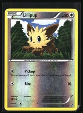 Lillipup 080/114 Black & White Common Reverse Holo Pokemon TCG Card MP