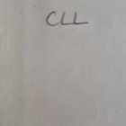 Bild 10 von 10