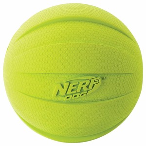 nerf dog squeak ball
