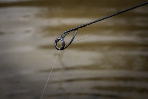 Wycwood Riot Eva Carpfishing Rod Canna Carp Fishing Angler Carbonio Manico Eva - Imagen 2 de 8