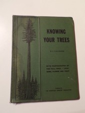  on The Hot Collector