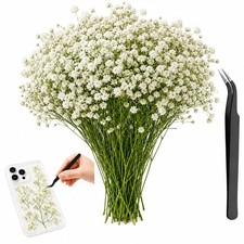 101 PCS Dried Gypsophila Flowers for Crafts, Artificial One Size, White