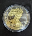 Silver American Eagle Gold Glided and Ruthenium Plated