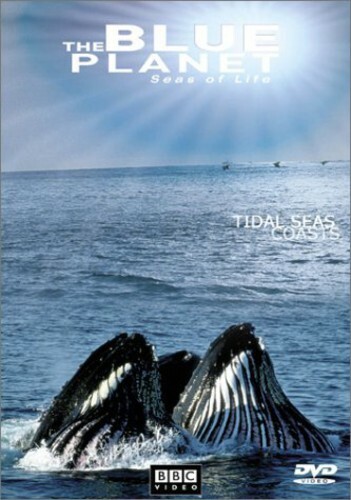 Blue Planet, The: Seas of Life - Part 4 (DVD, 2002) AMAZING DVD IN PERFECT CONDI