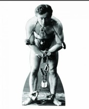HOUDINI LIFE SIZE CARDBOARD CUTOUT FREE SHIPPING!