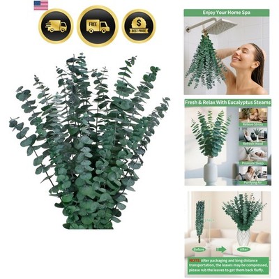 17'' Real Eucalyptus Stems 100% Natural Fresh Leaves Hanging Plants Greenery ...