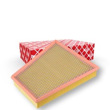 FEBI BILSTEIN 173919 Filtre à air pour PORSCHE 718 CAYMAN (982)