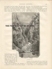 A MOUNTAIN PATH LA SIGNALE LAUSANNE  c 1893  ART ILLUSTRATION PRINT