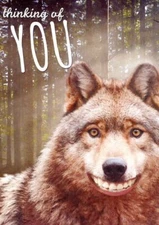Smiling Wolf - Tree Free Greeting Card - 14883