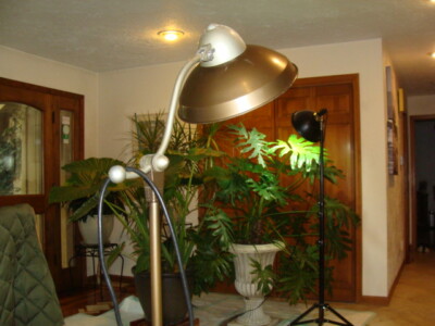 s-l400.jpg s-l400.jpg