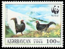 AZERBAIJAN 454c - Caucasian Grouse "Lyrurus mlokosiewiczi" (pb76409)